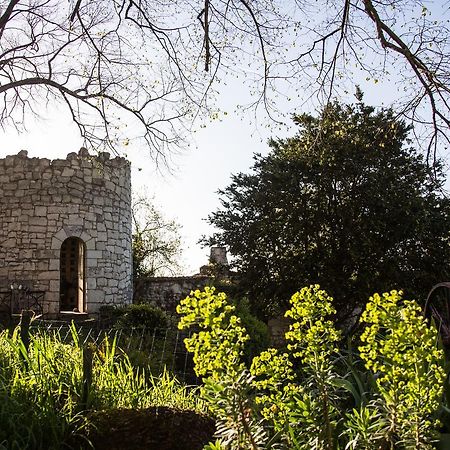 Bed and Breakfast La Grande Maison d'Arthenay Saumur Exterior foto