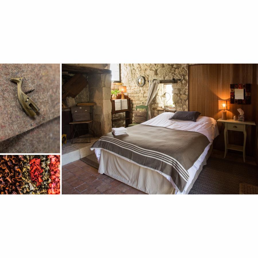 Bed and Breakfast La Grande Maison d'Arthenay Saumur Exterior foto