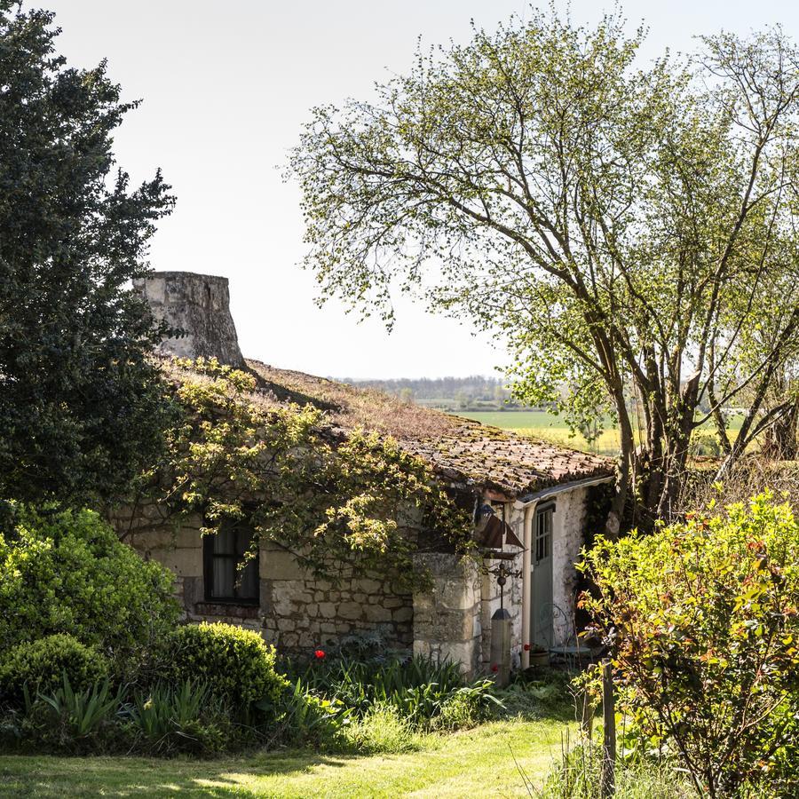 Bed and Breakfast La Grande Maison d'Arthenay Saumur Exterior foto