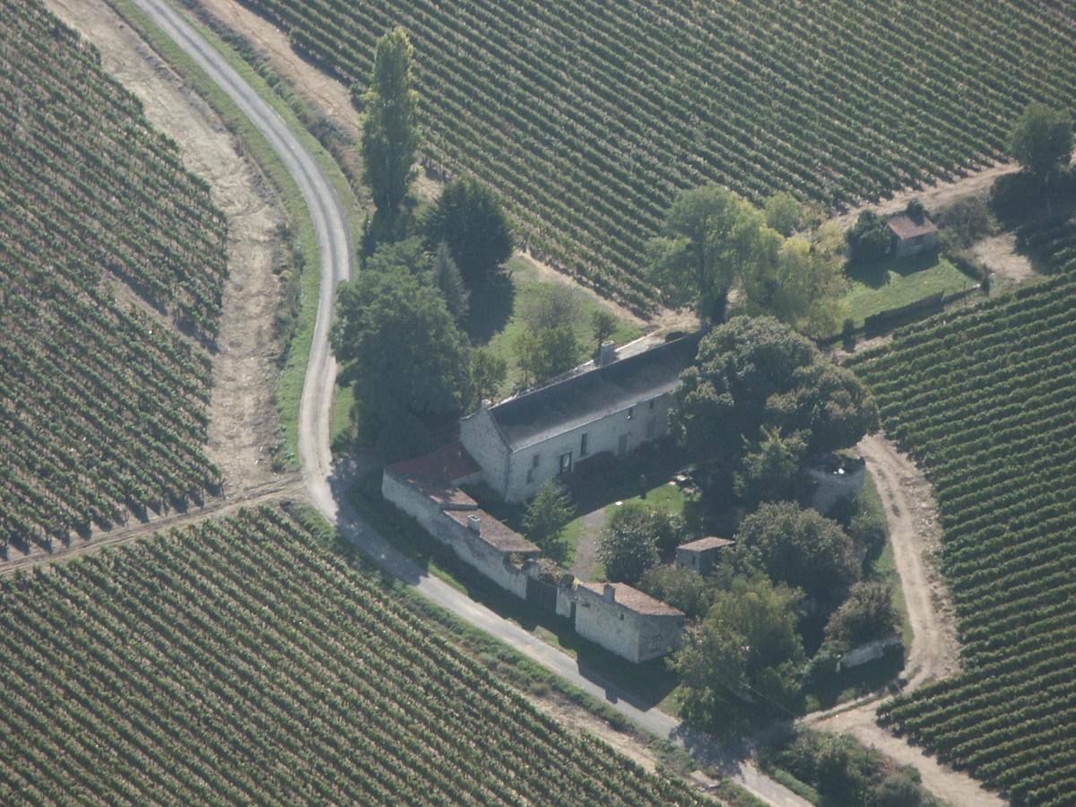 Bed and Breakfast La Grande Maison d'Arthenay Saumur Exterior foto